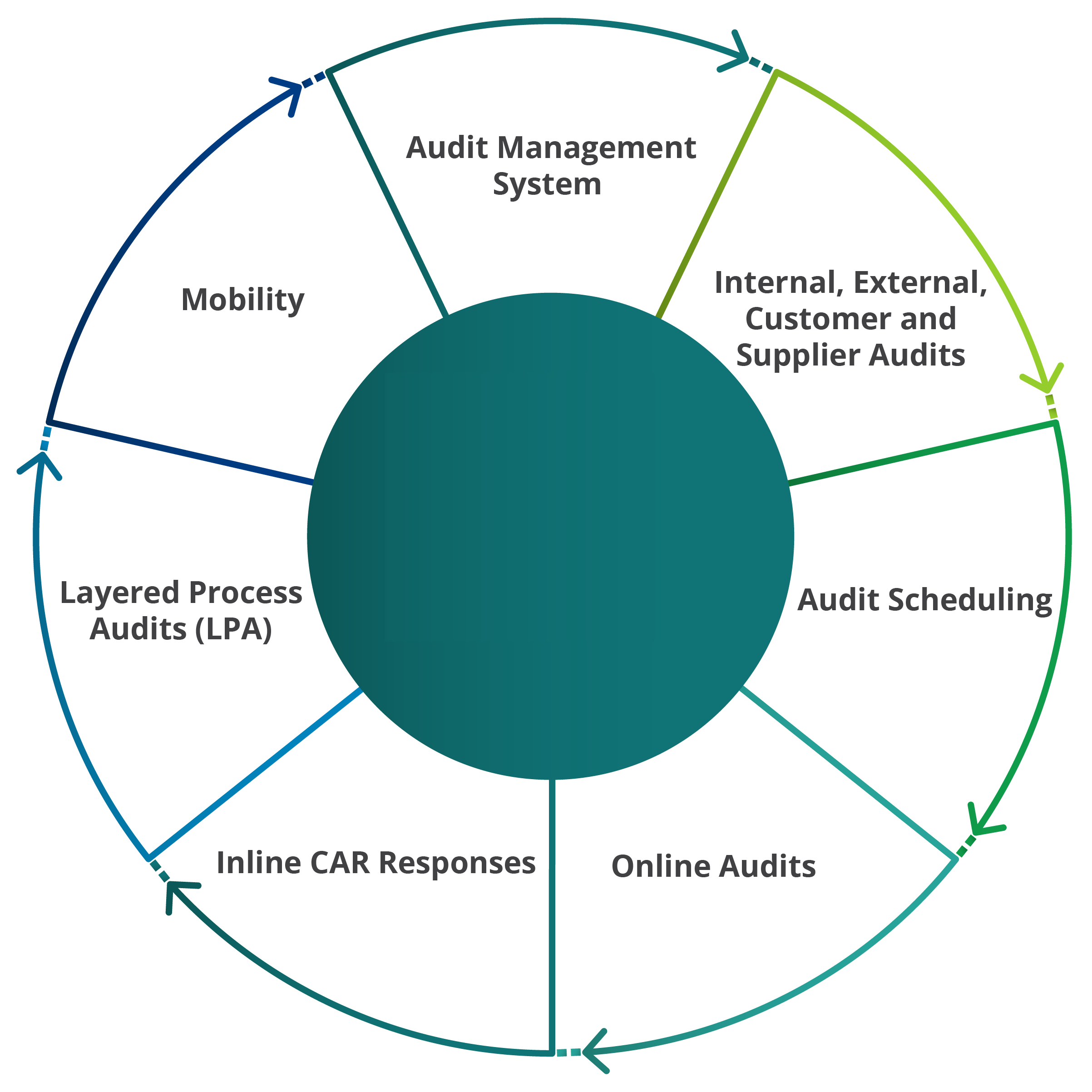 Audit Management SoftwareManagement Software