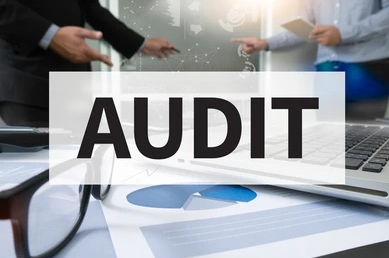 Layered Process Audit Software